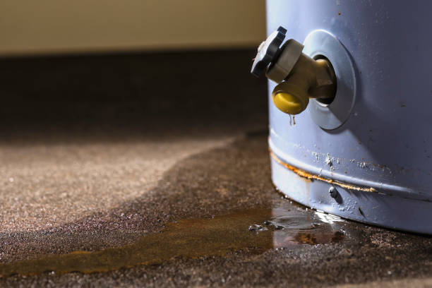 Best Flooded house restoration  in Fairfield University, CT
