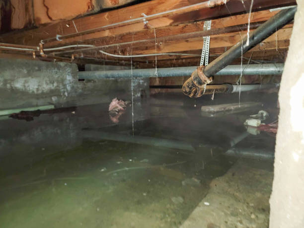 Water damage restoration process in Fairfield University, CT