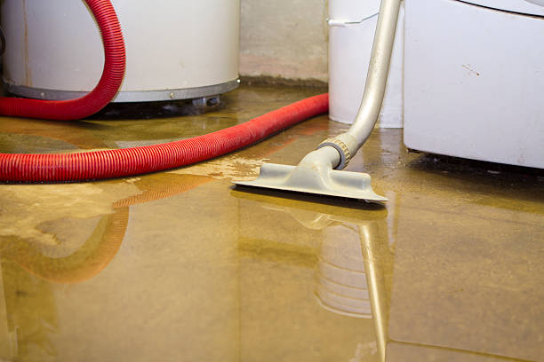 Best Water damage restoration specialists  in Fairfield University, CT