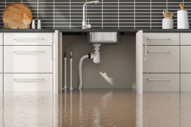 Best Commercial water damage restoration  in Fairfield University, CT