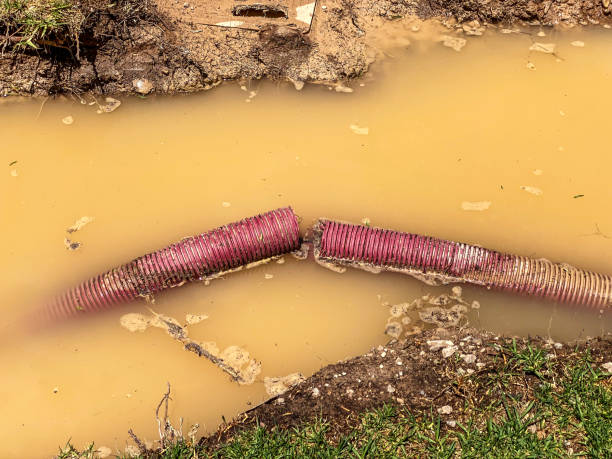 Best Basement water damage restoration  in Fairfield University, CT