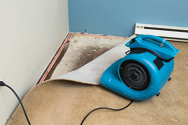 Best Water damage restoration process  in Fairfield University, CT